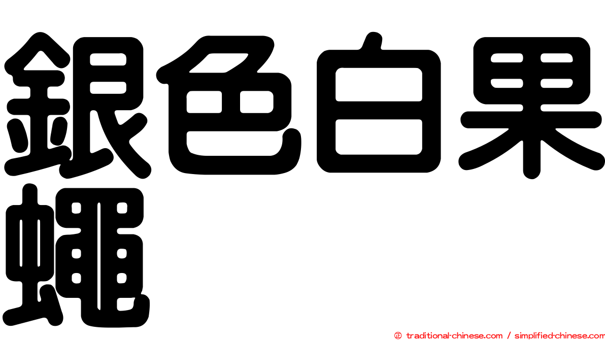 銀色白果蠅