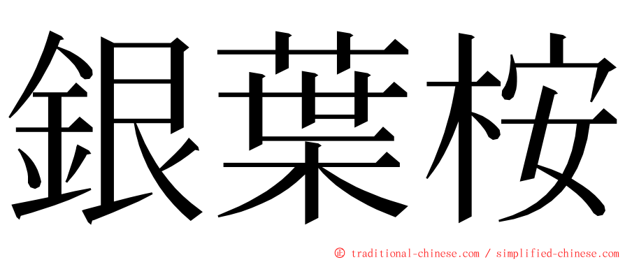 銀葉桉 ming font
