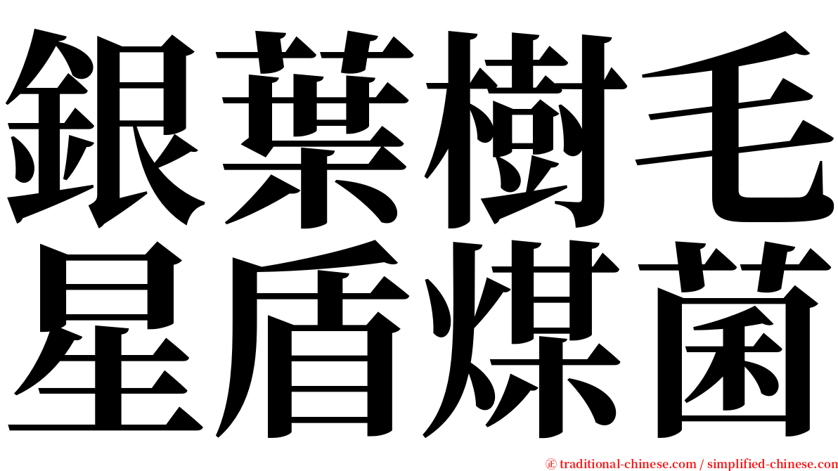 銀葉樹毛星盾煤菌 serif font