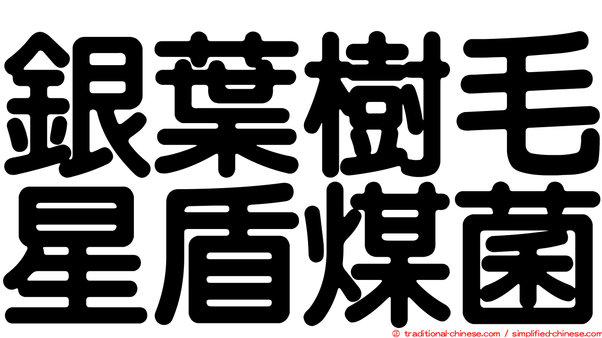 銀葉樹毛星盾煤菌