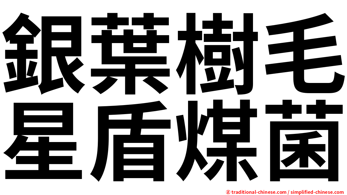 銀葉樹毛星盾煤菌