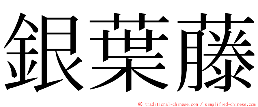 銀葉藤 ming font