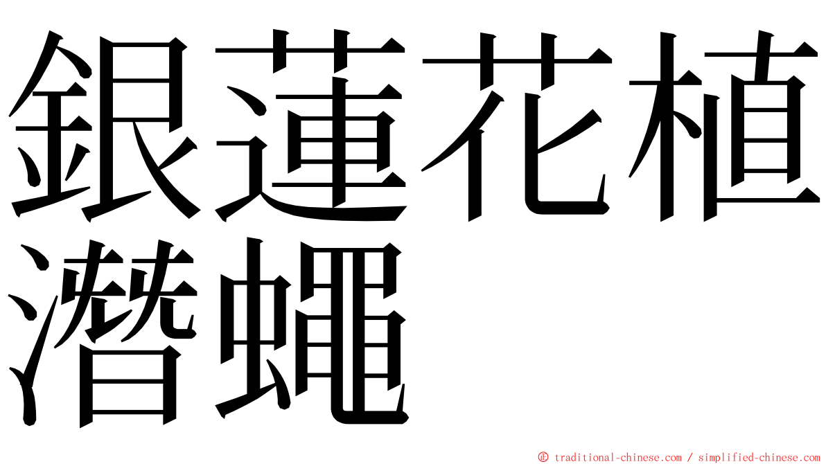 銀蓮花植潛蠅 ming font