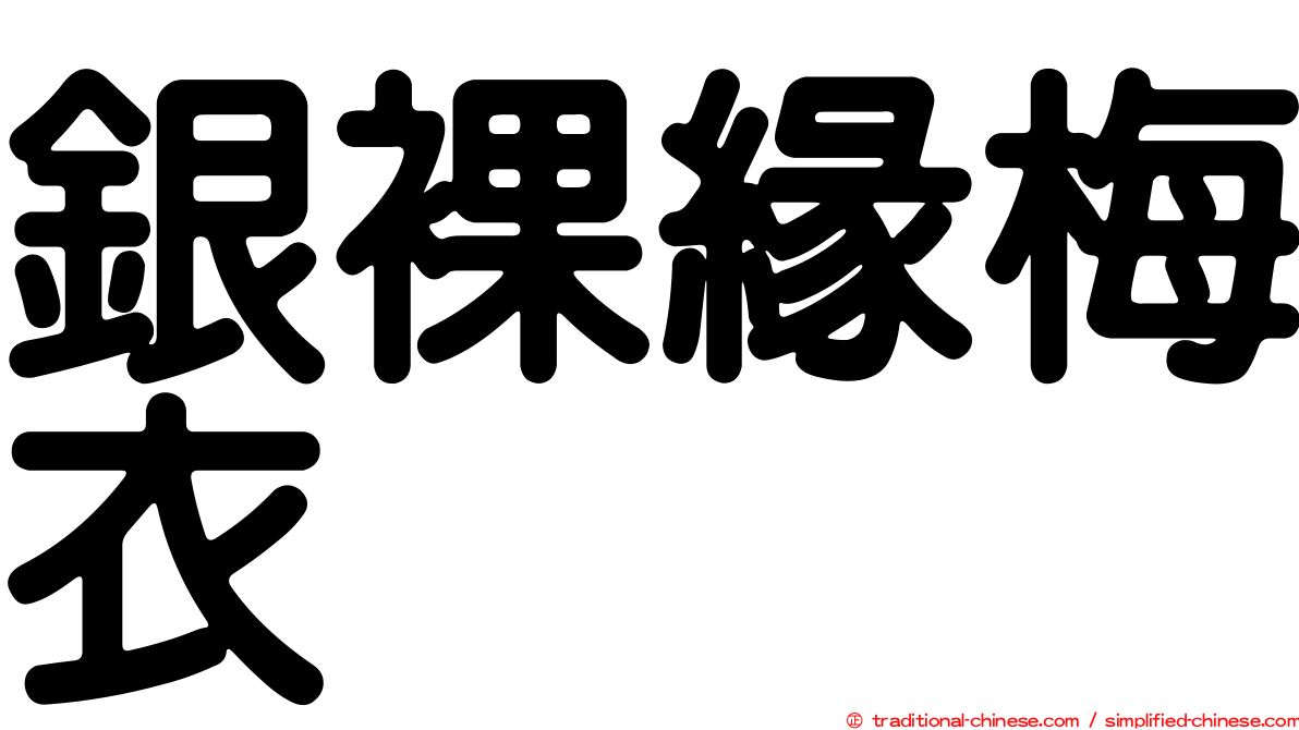 銀裸緣梅衣