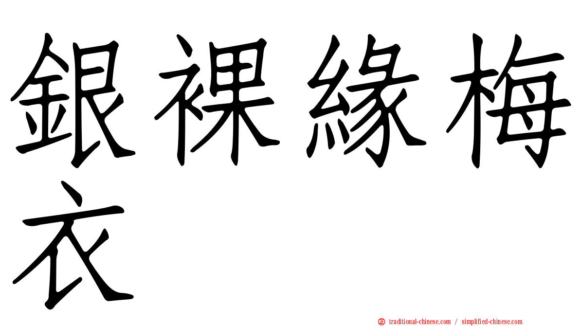 銀裸緣梅衣