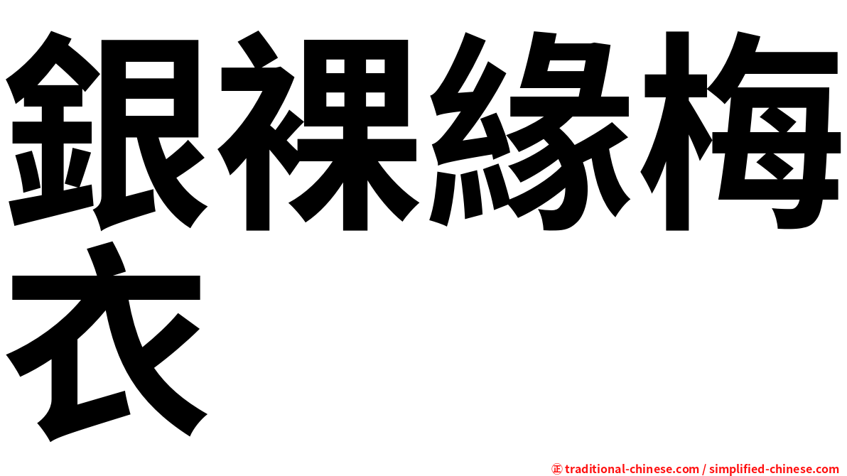 銀裸緣梅衣