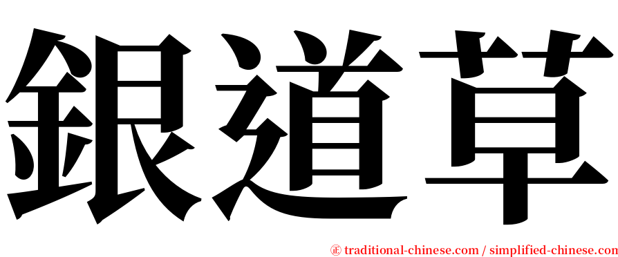 銀道草 serif font