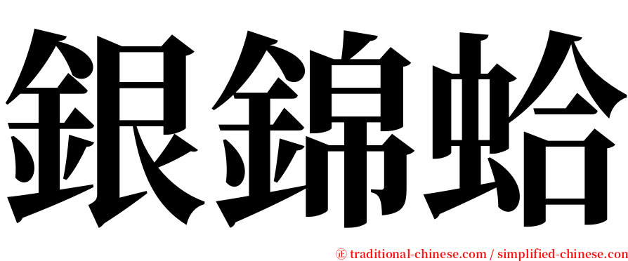 銀錦蛤 serif font