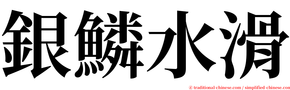 銀鱗水滑 serif font