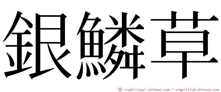 銀鱗草 ming font