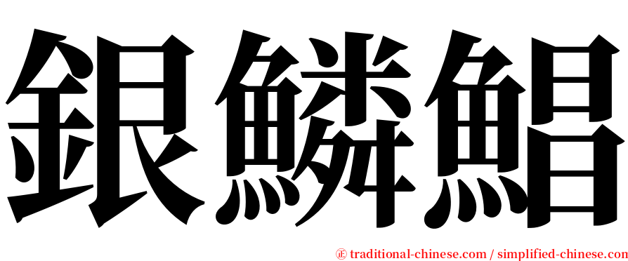 銀鱗鯧 serif font