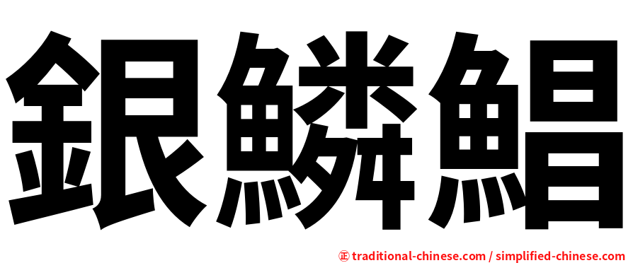 銀鱗鯧