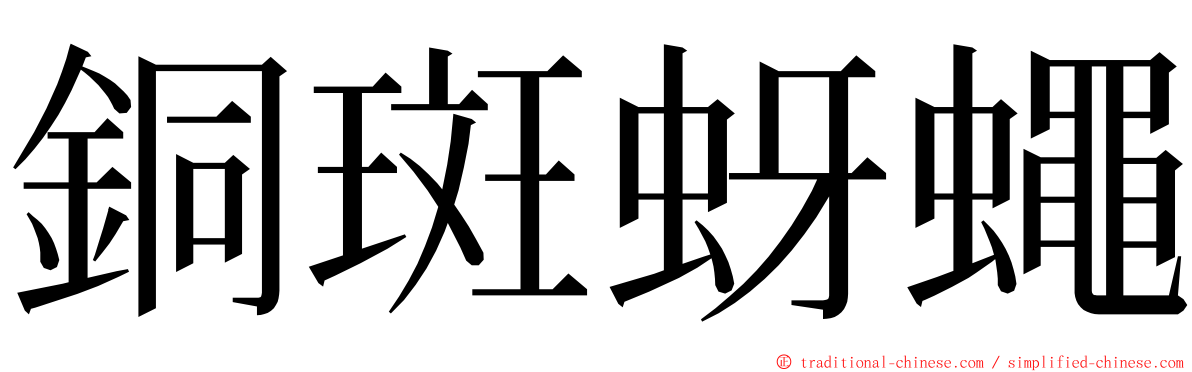 銅斑蚜蠅 ming font