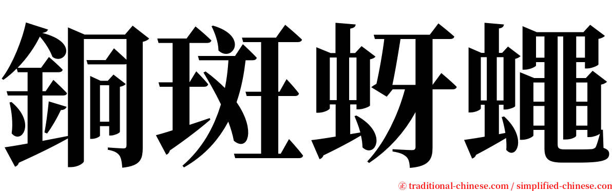 銅斑蚜蠅 serif font