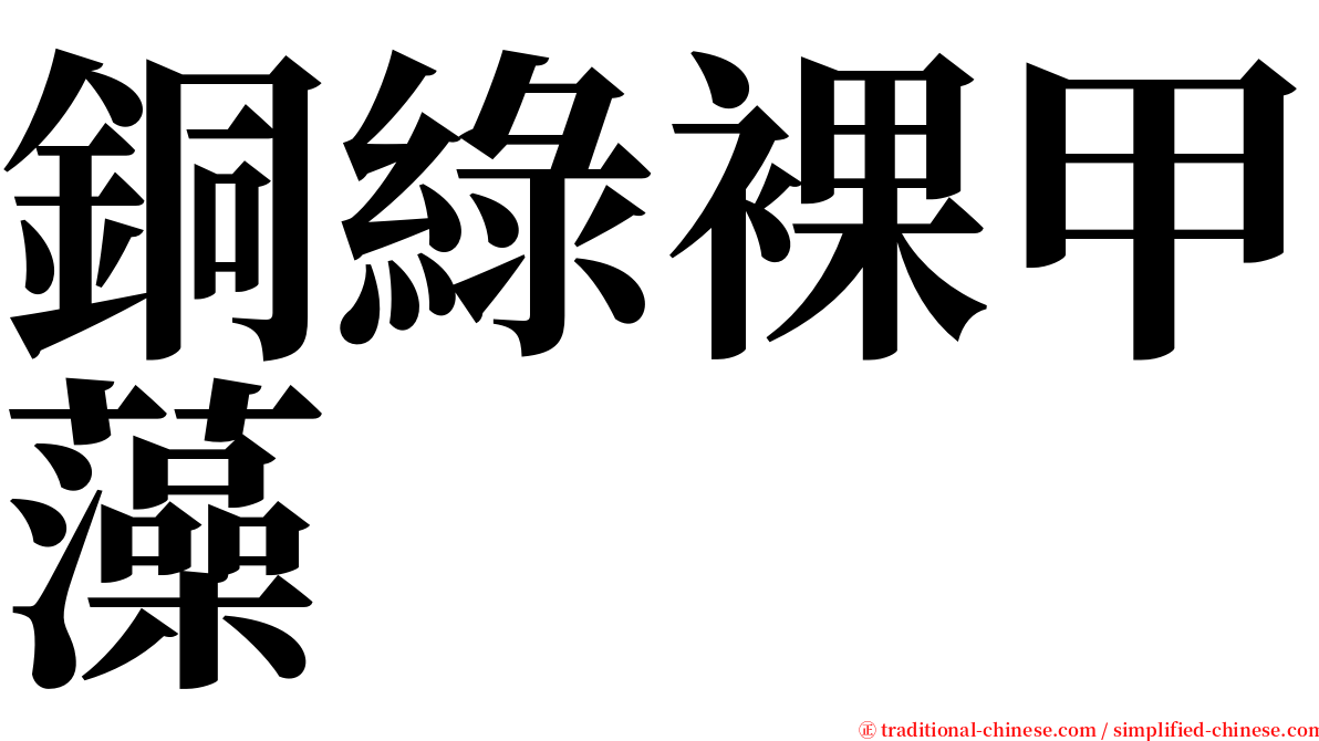 銅綠裸甲藻 serif font