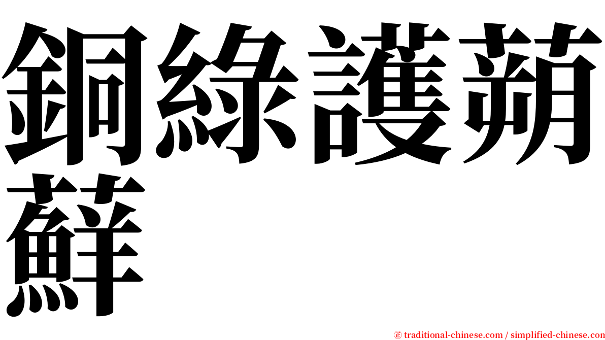 銅綠護蒴蘚 serif font