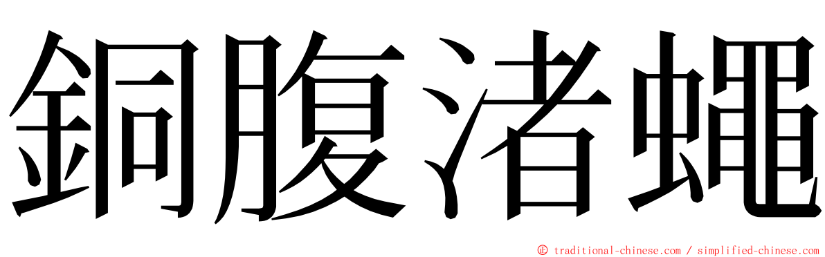 銅腹渚蠅 ming font