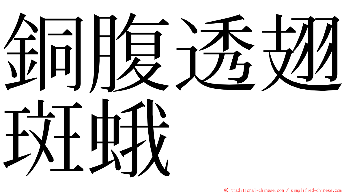 銅腹透翅斑蛾 ming font