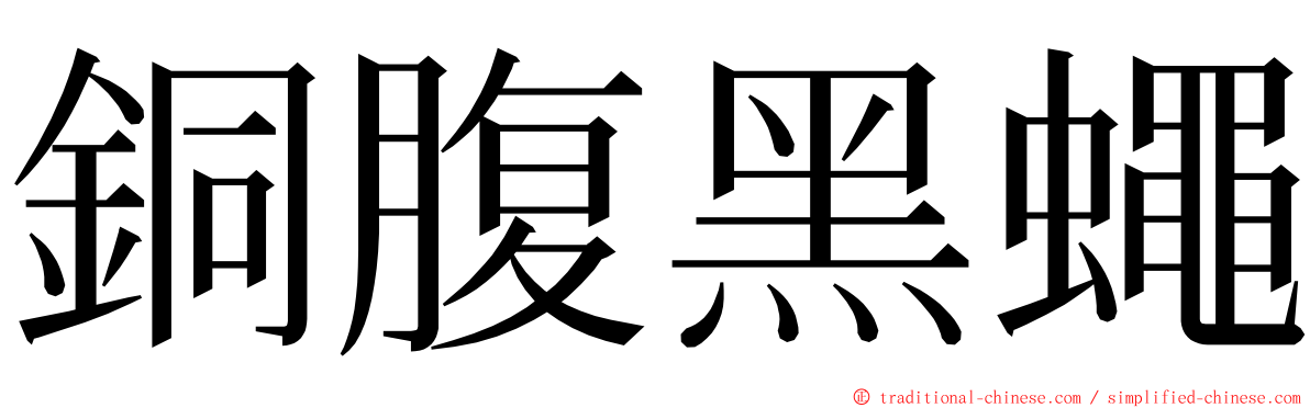 銅腹黑蠅 ming font