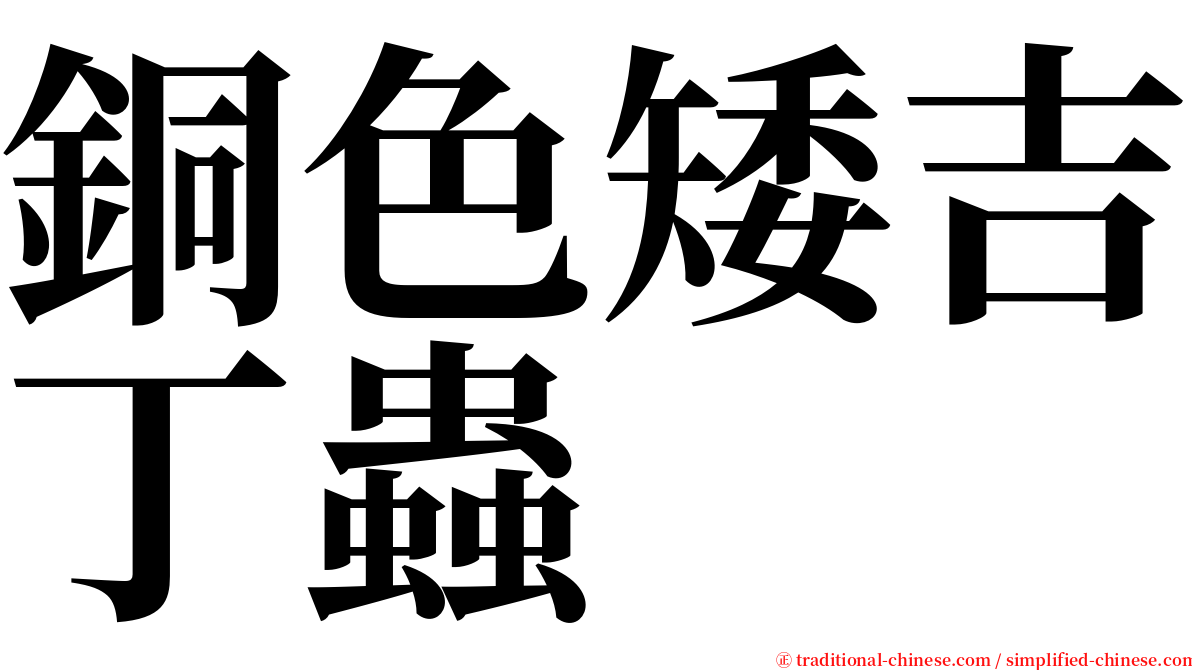 銅色矮吉丁蟲 serif font