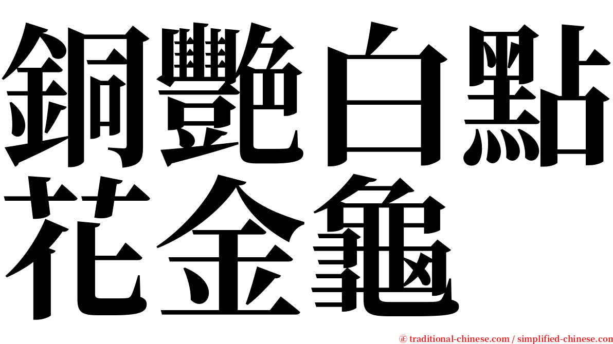 銅艷白點花金龜 serif font