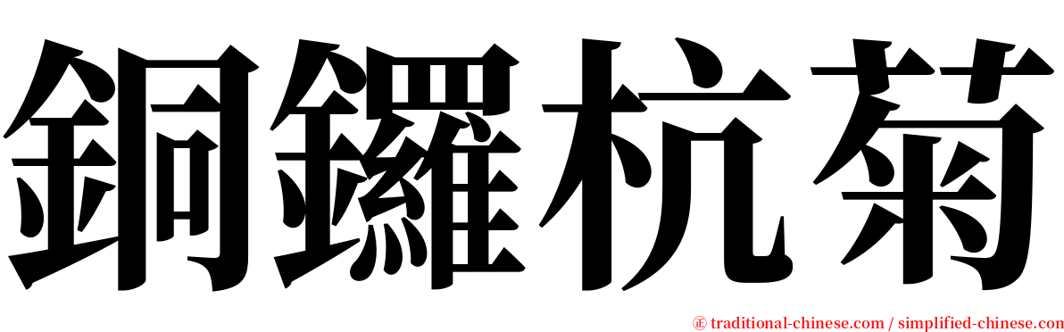 銅鑼杭菊 serif font