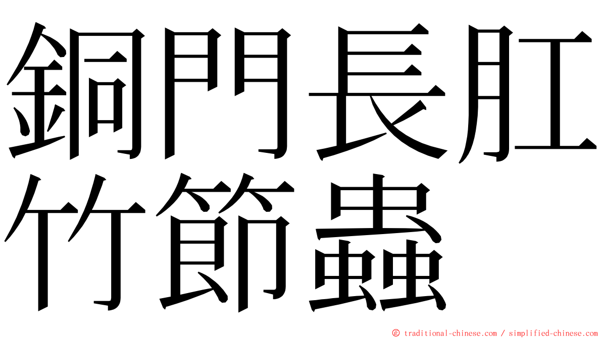 銅門長肛竹節蟲 ming font