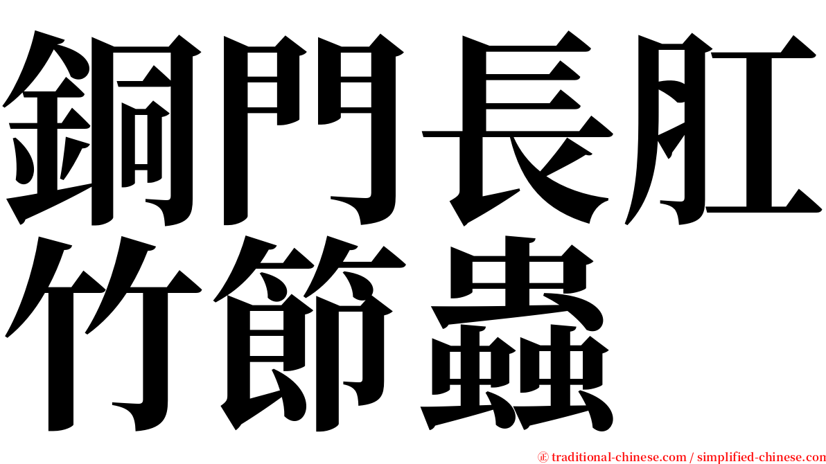 銅門長肛竹節蟲 serif font