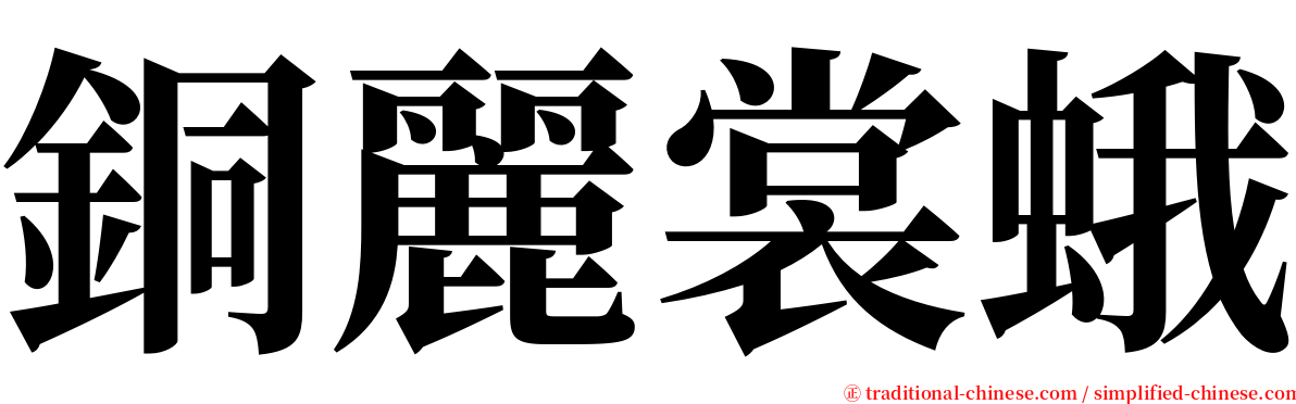 銅麗裳蛾 serif font