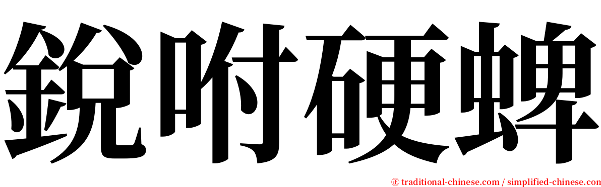 銳咐硬蜱 serif font