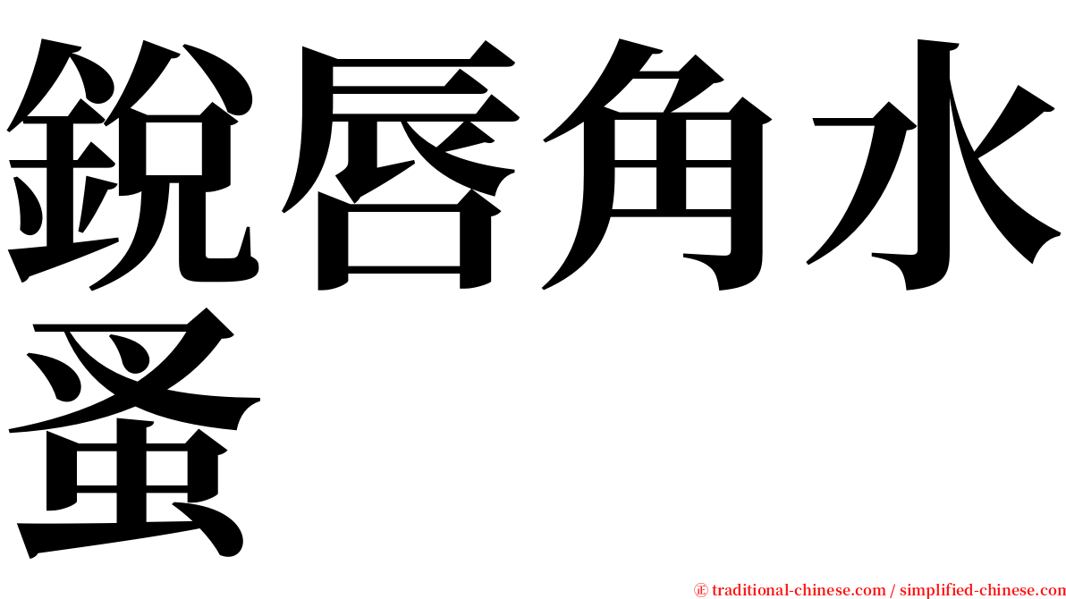 銳唇角水蚤 serif font