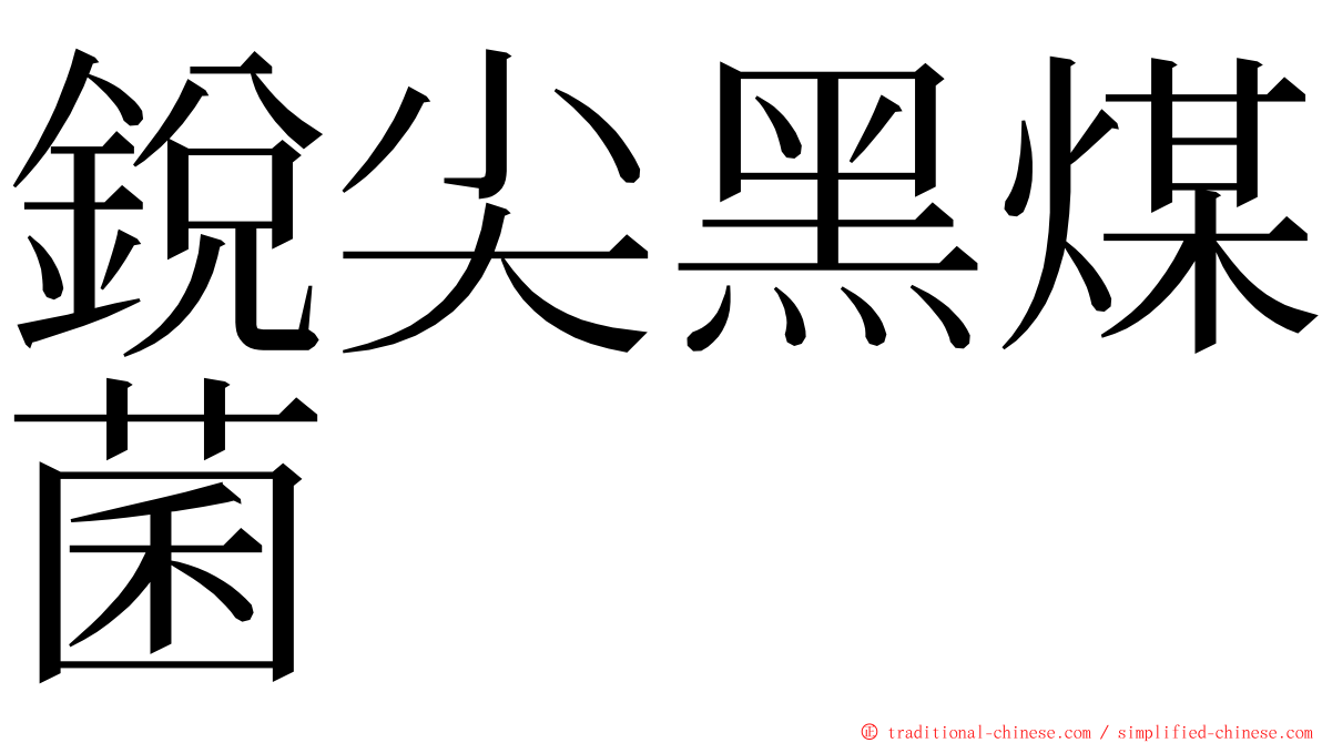 銳尖黑煤菌 ming font