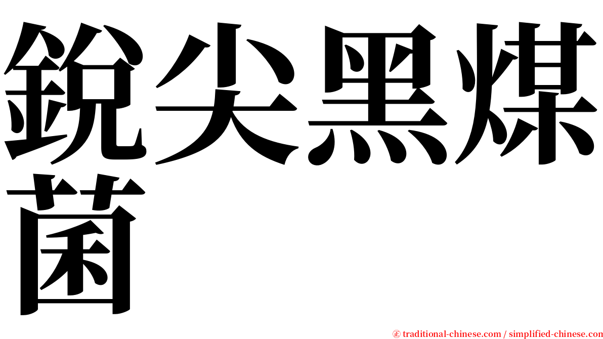 銳尖黑煤菌 serif font