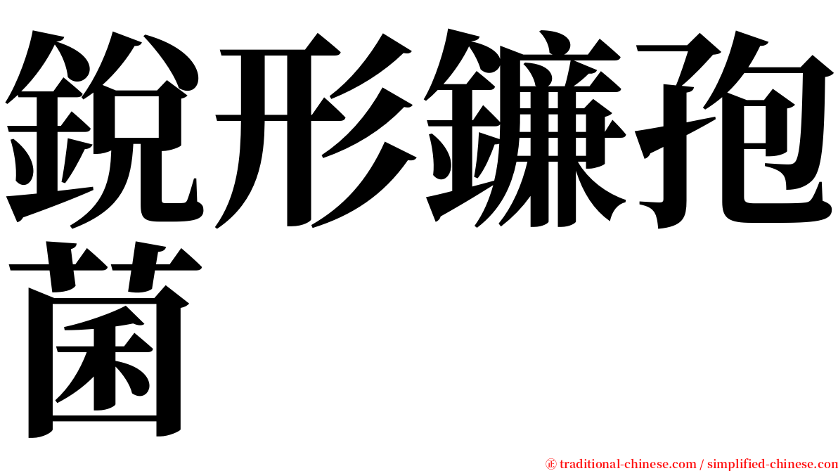 銳形鐮孢菌 serif font