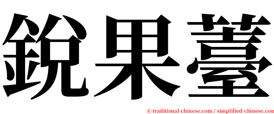 銳果薹 serif font