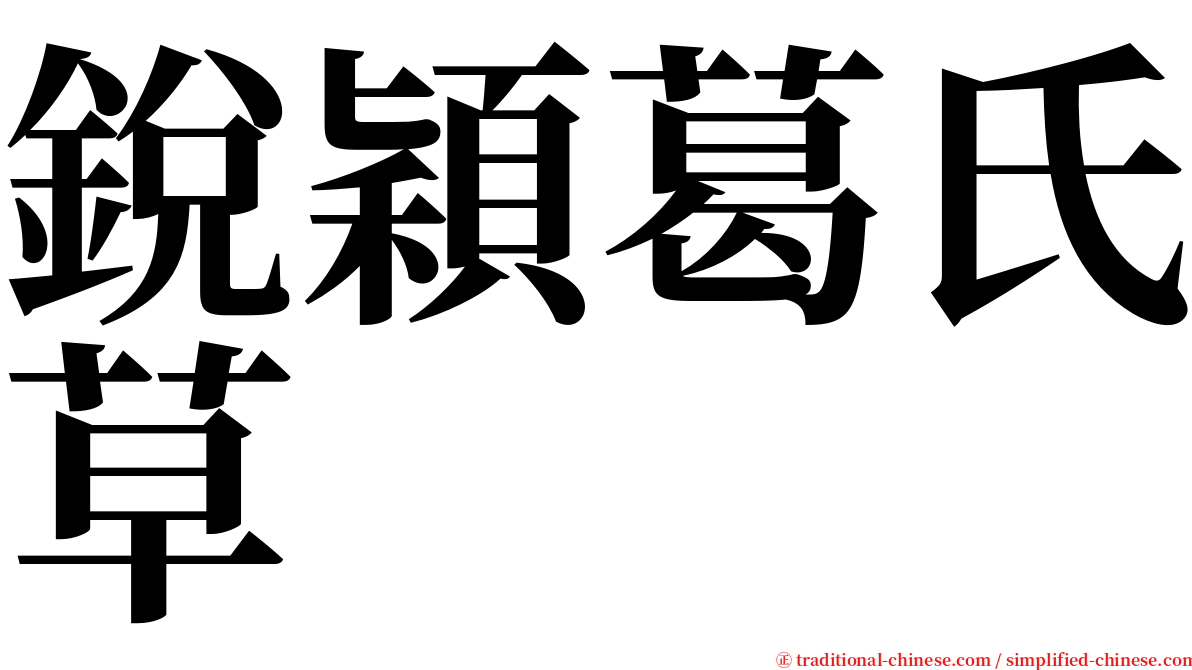 銳穎葛氏草 serif font