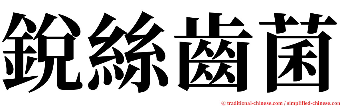 銳絲齒菌 serif font