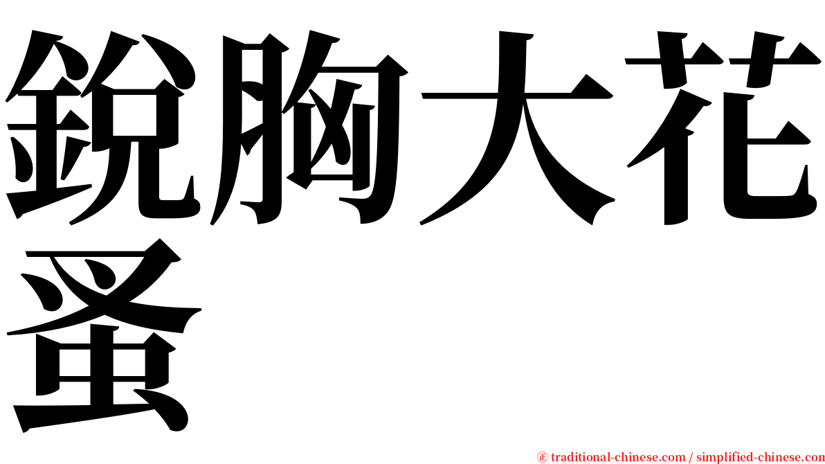 銳胸大花蚤 serif font