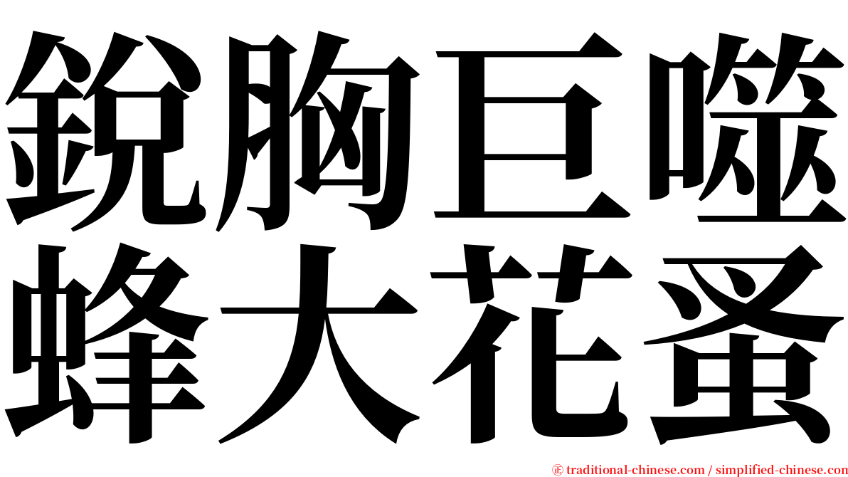 銳胸巨噬蜂大花蚤 serif font