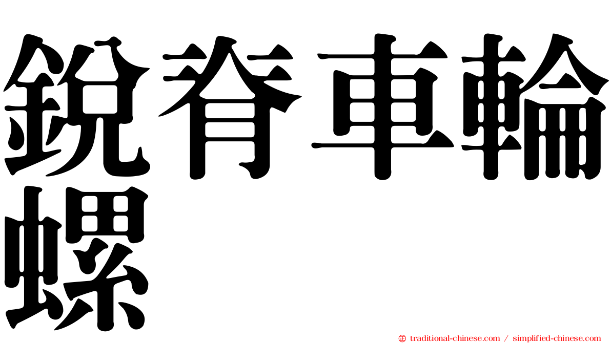 銳脊車輪螺