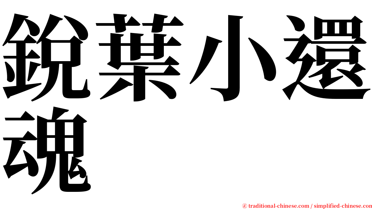 銳葉小還魂 serif font