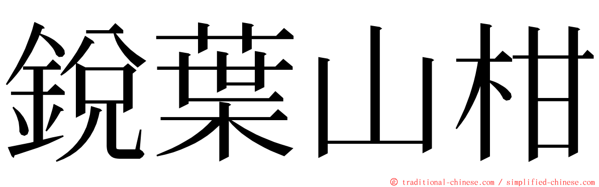 銳葉山柑 ming font