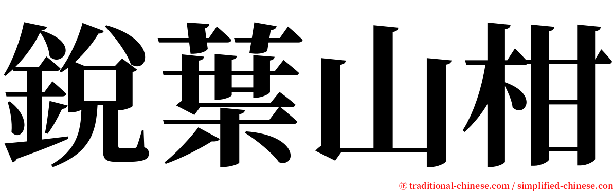 銳葉山柑 serif font