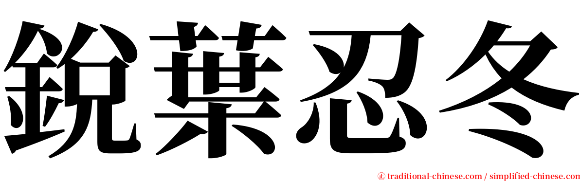 銳葉忍冬 serif font