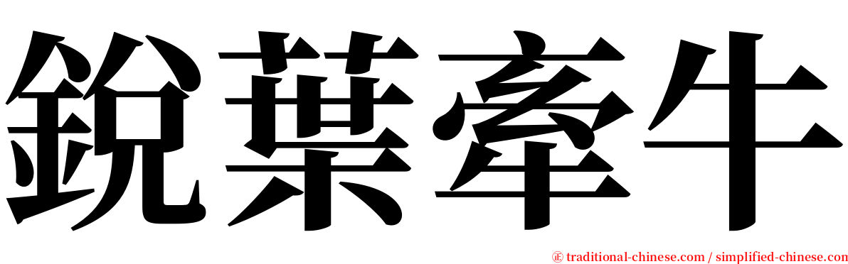 銳葉牽牛 serif font