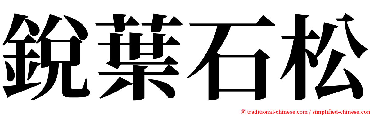 銳葉石松 serif font