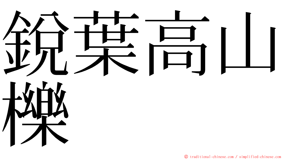 銳葉高山櫟 ming font