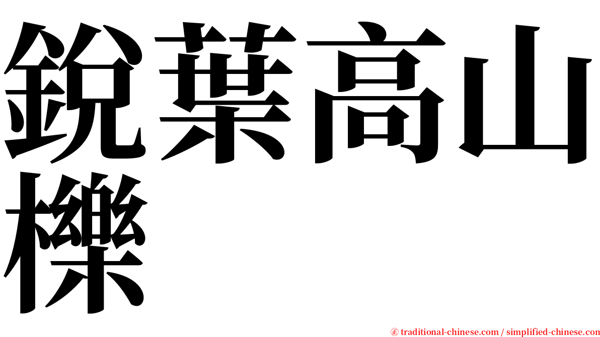 銳葉高山櫟 serif font