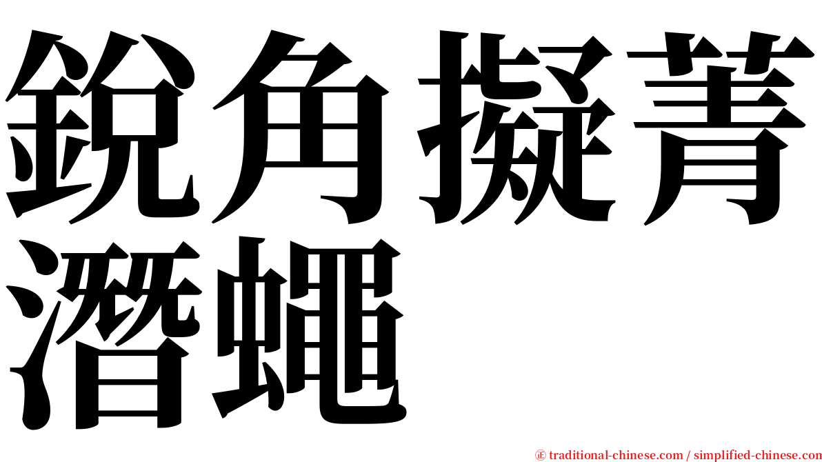 銳角擬菁潛蠅 serif font