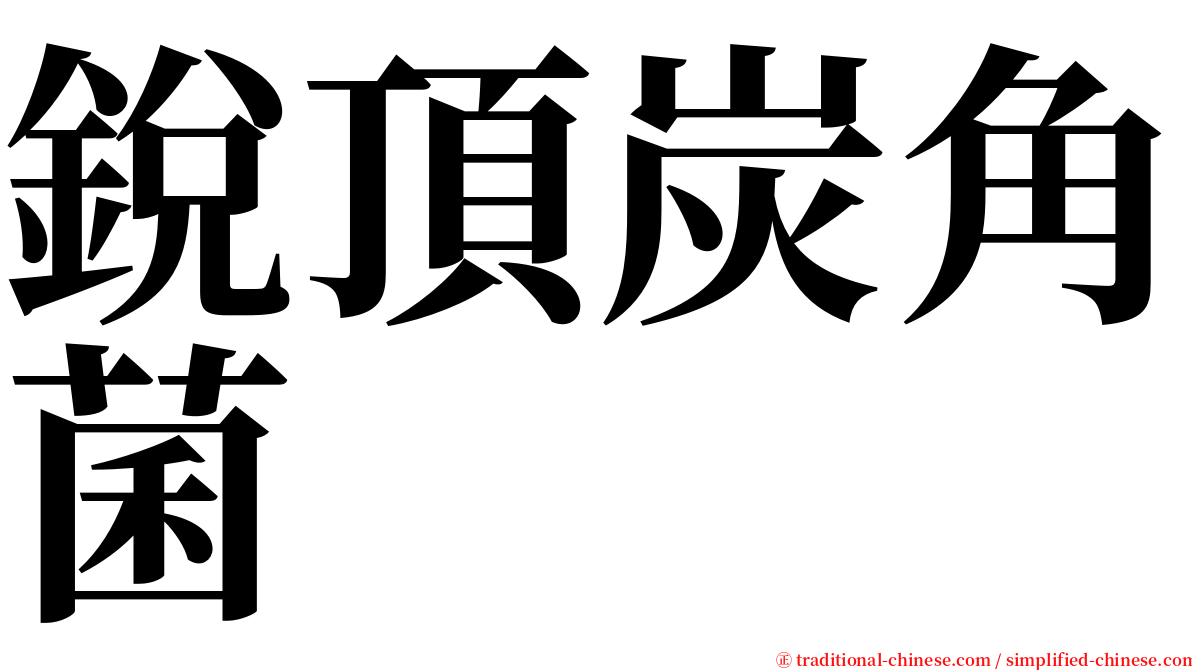 銳頂炭角菌 serif font